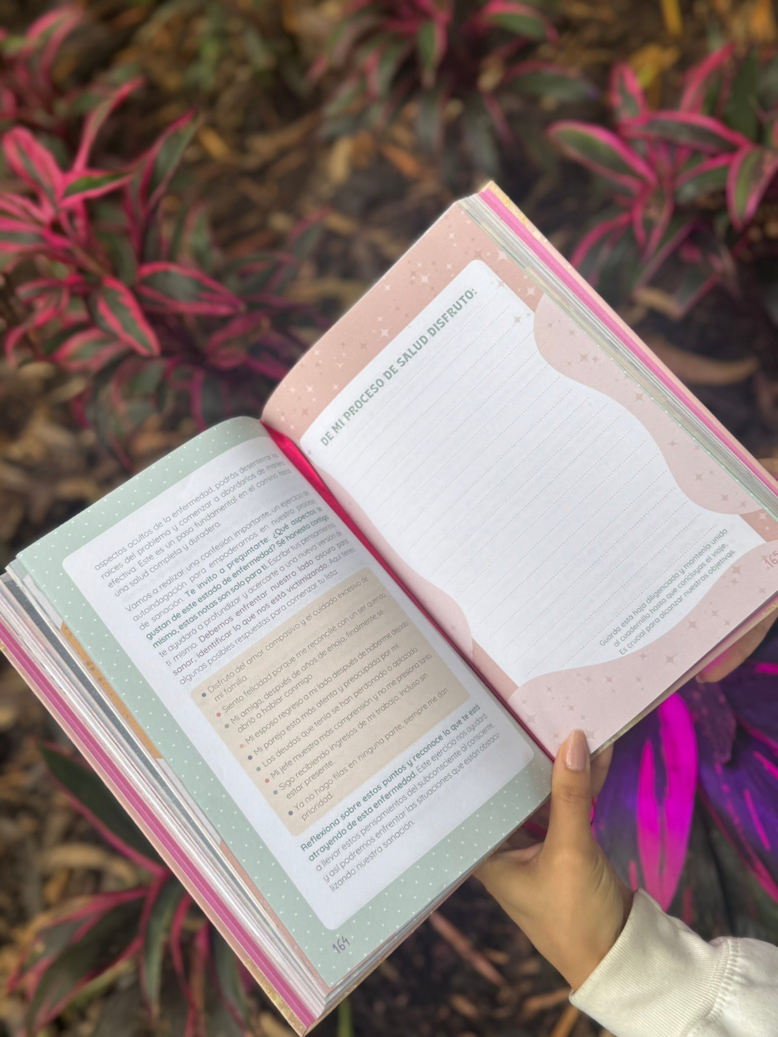 Libro Taller Pasaporte Rosa