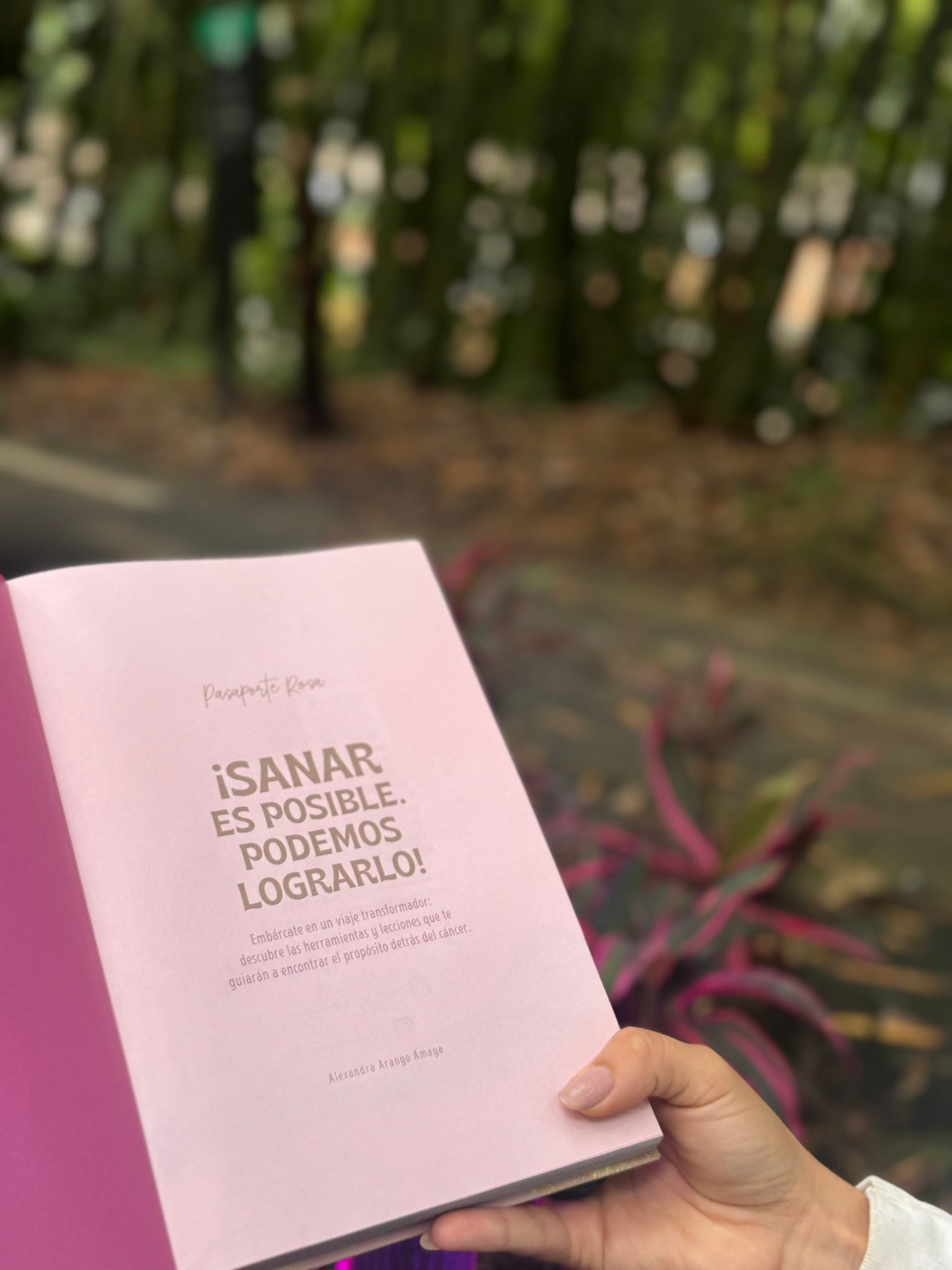 Libro Taller Pasaporte Rosa