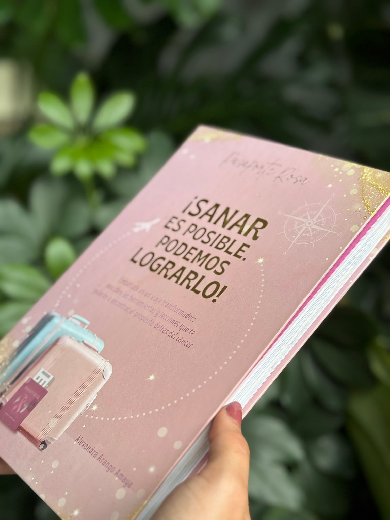 Libro Taller Pasaporte Rosa