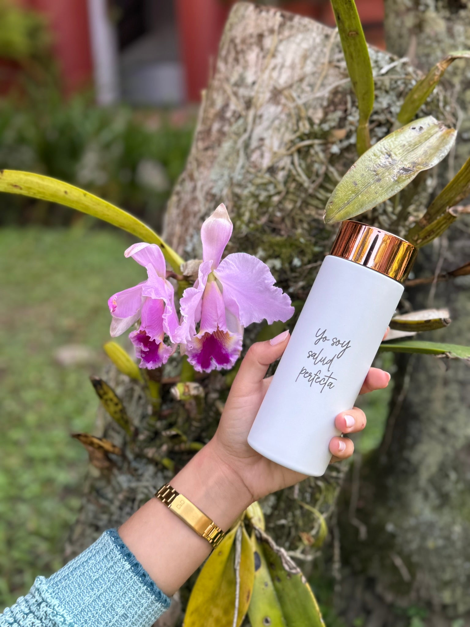 Termo Térmico Pasaporte Rosa